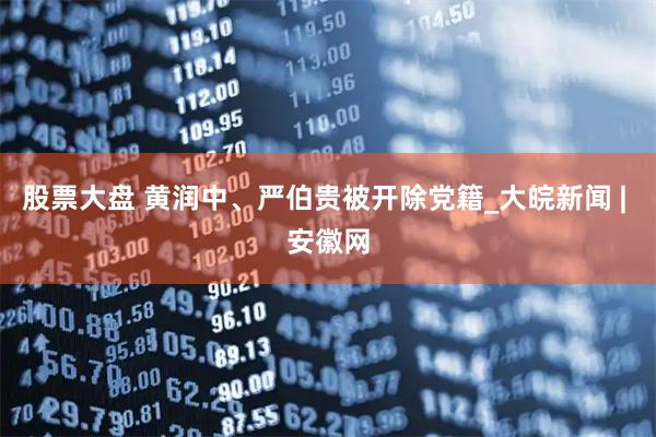股票大盘 黄润中、严伯贵被开除党籍_大皖新闻 | 安徽网